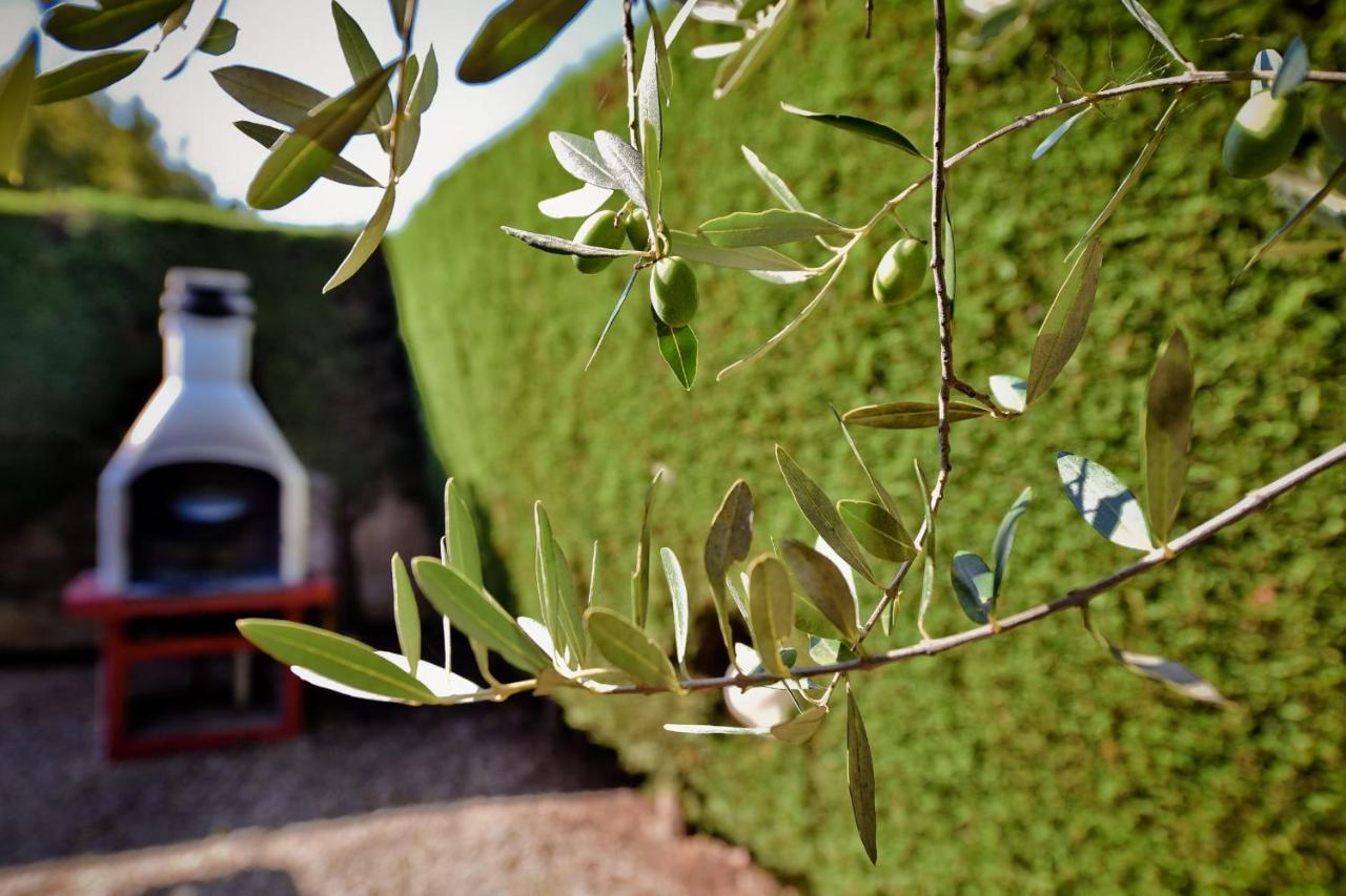 הוילה מרטינה פרנקה I Cinque Trulli With Swimming Pool מראה חיצוני תמונה